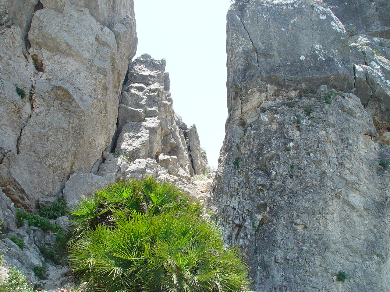 Marbella - El Chorro