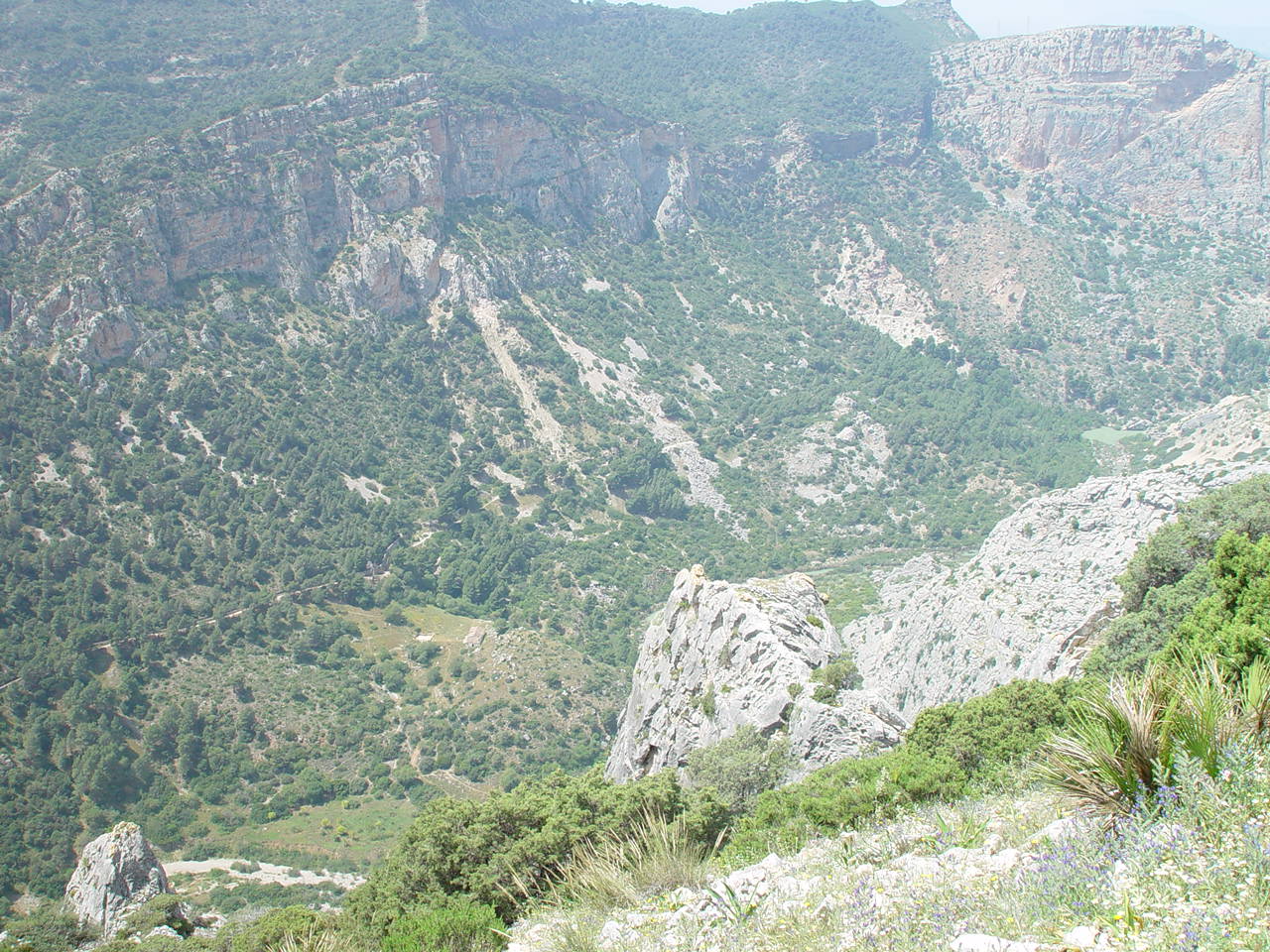 Marbella - El Chorro